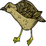 Bird 103