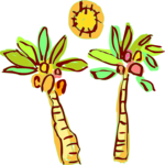Palm Trees