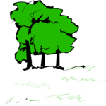 Tree 069
