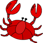 Zodiac, Horoscope & Astrology