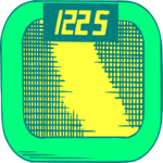 Scale 11