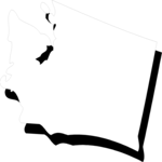 Washington 11