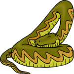 Snake 31