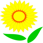 Flower 095
