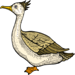 Bird 153