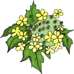 Flower 340