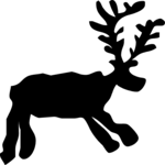 Moose 1