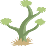 Plant 060