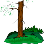 Tree 214