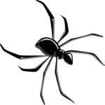 Spider 10