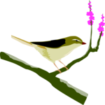 Bird 018