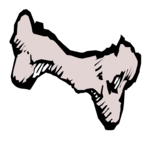 Bone 2