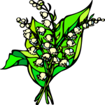 Lily of the Valley 2