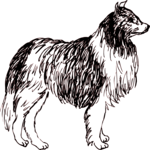 Dog 154