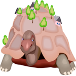Tortoise Village