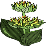 Flower 330