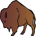 Buffalo 3