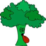 Broccoli - Rotten