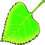 Leaf 103