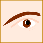 Eye & Eyebrow