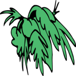 Leaves 35