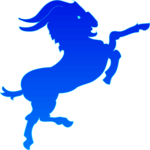 Capricorn 11