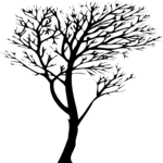 Tree 020