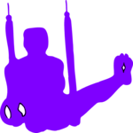 Gymnastics 21