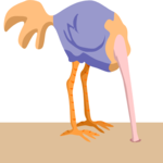 Ostrich - Head in Sand 3