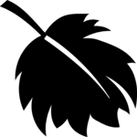 Leaf 018