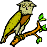 Owl 25