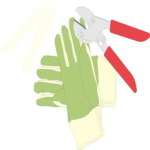 Gloves & Clippers