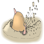 Hamster Digging