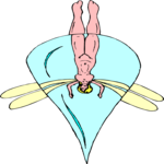 Fairy 112