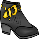 Shoe 17