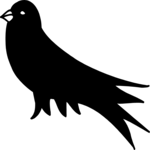 Bird 07