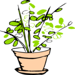 Plant 053