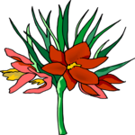 Flower 334