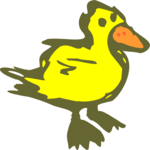 Duck 11
