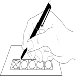Voting 4