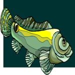 Fish 114
