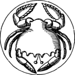 Crab 1
