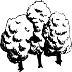 Trees 09