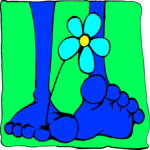 Box Feet