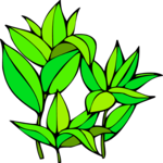 Leaves 73