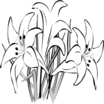 Lilies 2