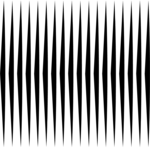 Border 429