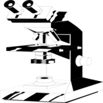 Microscope 07