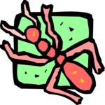 Ant 07