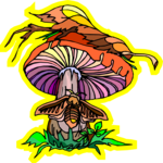 Mushroom 17
